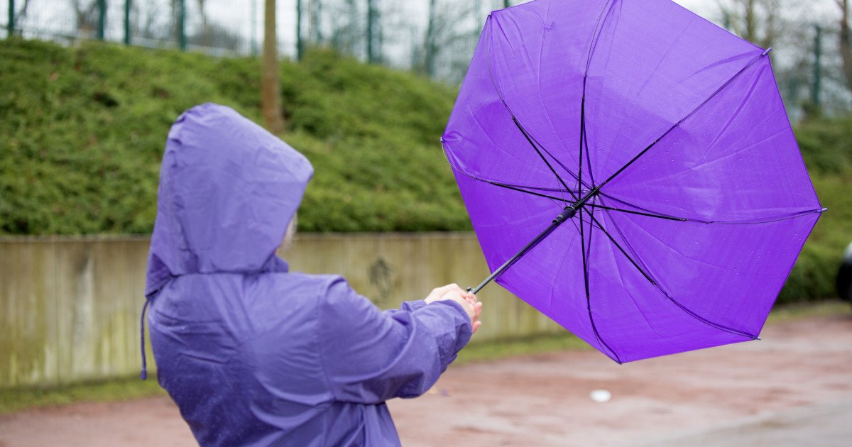 Avertizare de vânt puternic: Cinci județe în pericol!
