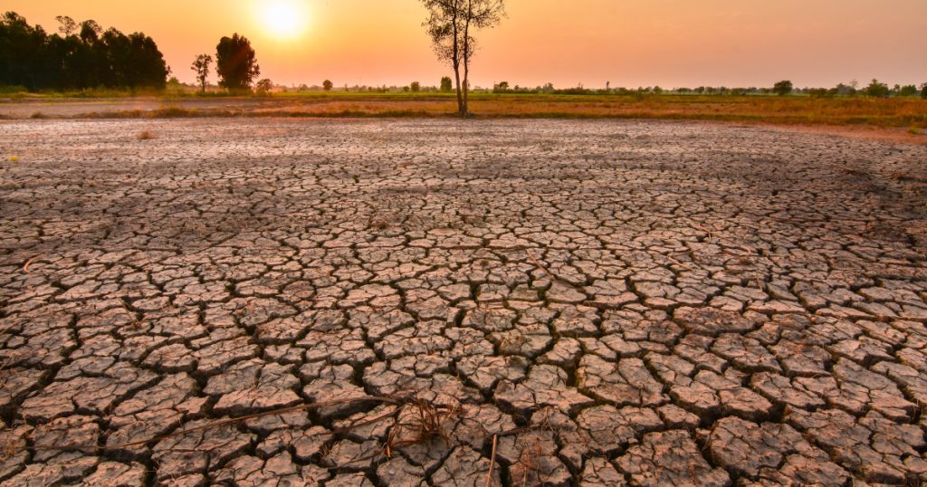 El Nino în Pacific amenință 2027 cu titlul de „cel mai cald an”