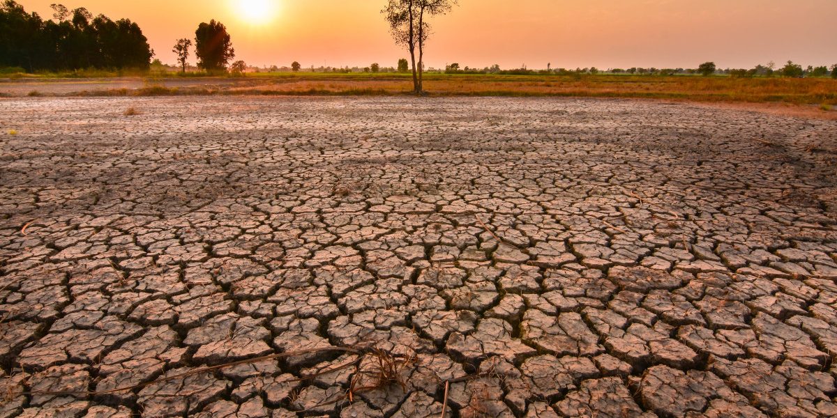 MSZoYXNoPTkwNTY4MWMxZDAyYjQyYTRhNzQ0NmIyMjdhMWNiNTNi.thumb_.jpg - JurnalUrban