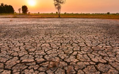 MSZoYXNoPTkwNTY4MWMxZDAyYjQyYTRhNzQ0NmIyMjdhMWNiNTNi.thumb_.jpg - JurnalUrban