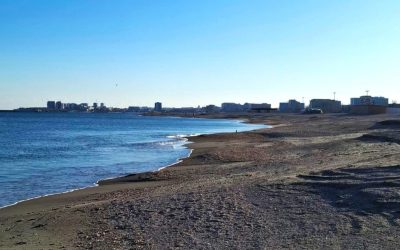 Record de oferte pentru plajele din Năvodari: Peste 300 de solicitări pentru 58 de sectoare Un număr impresionant de peste 300 de oferte au fost depuse pentru închirierea a 58 de subsectoare de plajă în Năvodari