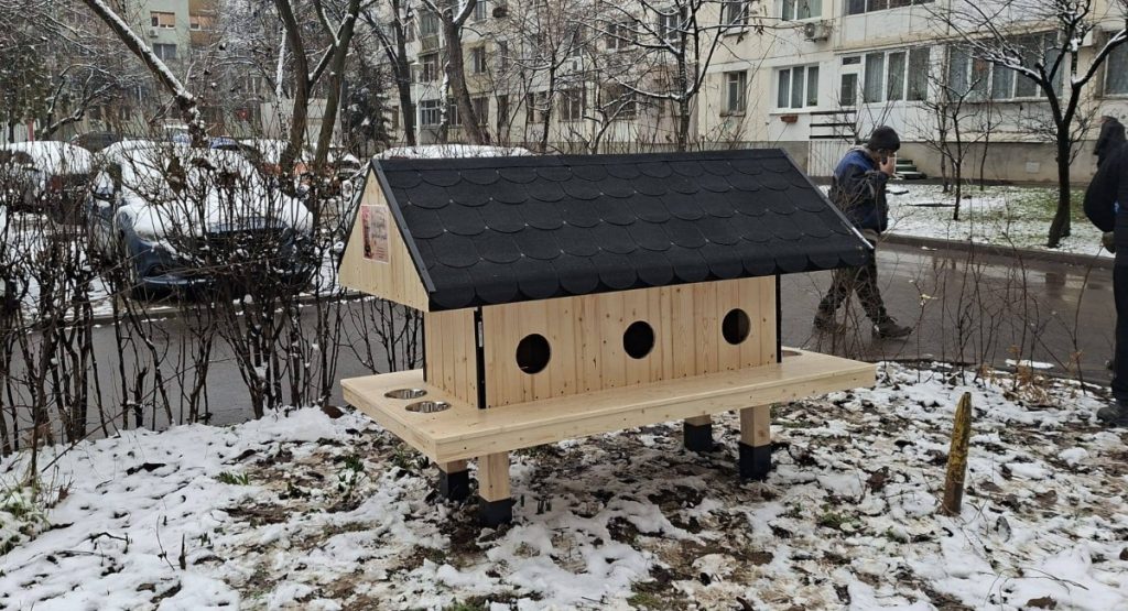 Sectorul 6 al Capitalei devine din ce în ce mai prietenos cu animalele fără stăpân, printr-o inițiativă concrete menită să asigure adăpost și siguranță pentru pisicile comunitare