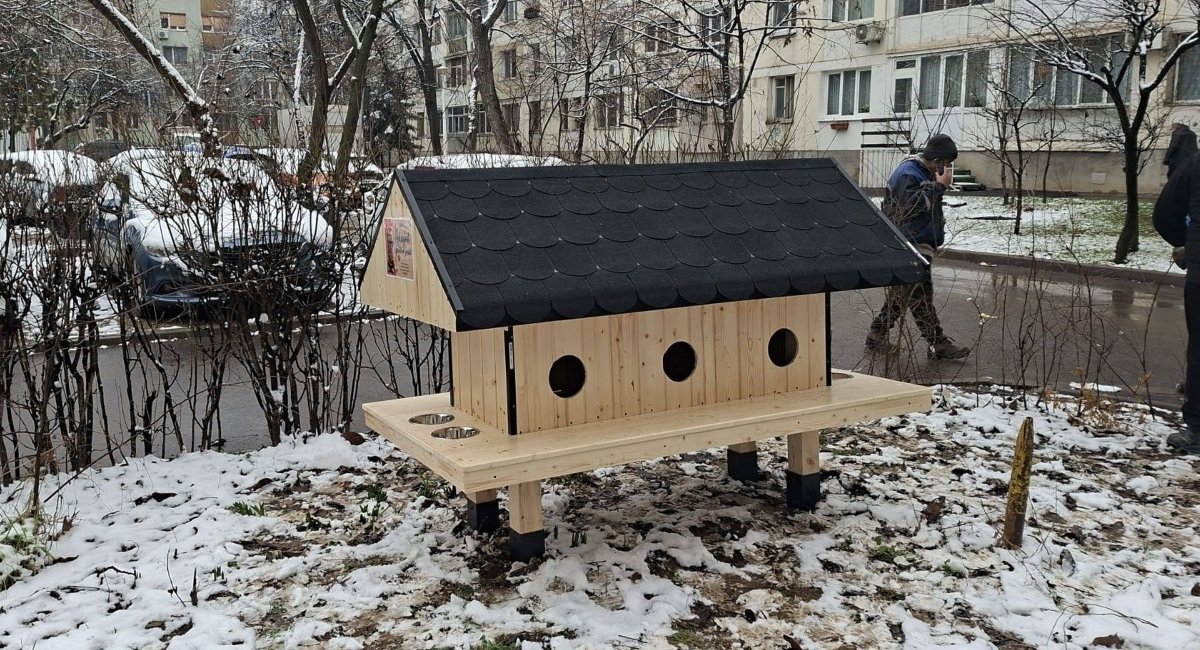 Sectorul 6 al Capitalei devine din ce în ce mai prietenos cu animalele fără stăpân, printr-o inițiativă concrete menită să asigure adăpost și siguranță pentru pisicile comunitare