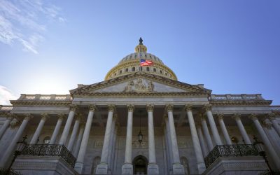 Un raport din Congresul SUA chestionează anularea alegerilor din România și susține că Bruxelles-ul se amestecă prin cenzură în alegerile statelor membre