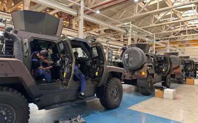 Romania_plant.jpeg - JurnalUrban