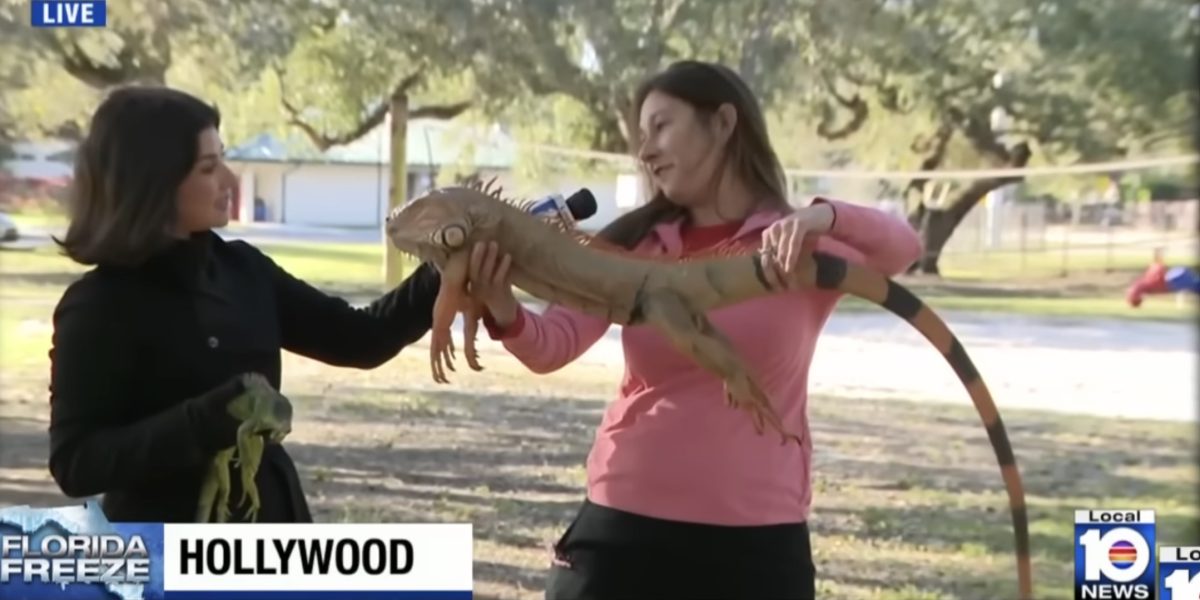 Screenshot-2026-02-02-at-10.29.50.jpg - JurnalUrban