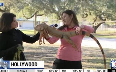 Screenshot-2026-02-02-at-10.29.50.jpg - JurnalUrban