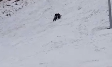 Screenshot-2026-02-05-135404.png - JurnalUrban