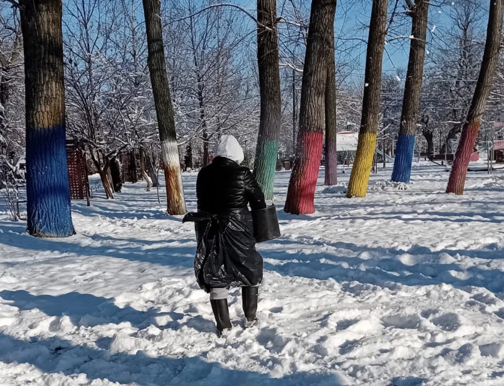 Administrația Domeniului Public Alexandria a început fertilizarea zonelor verzi din oraș, folosind un îngrășământ recomandat de specialiști pentru sezonul de primăvară