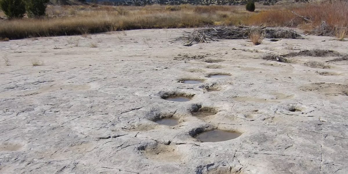 Screenshot-972.jpg - JurnalUrban