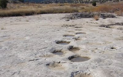 Screenshot-972.jpg - JurnalUrban