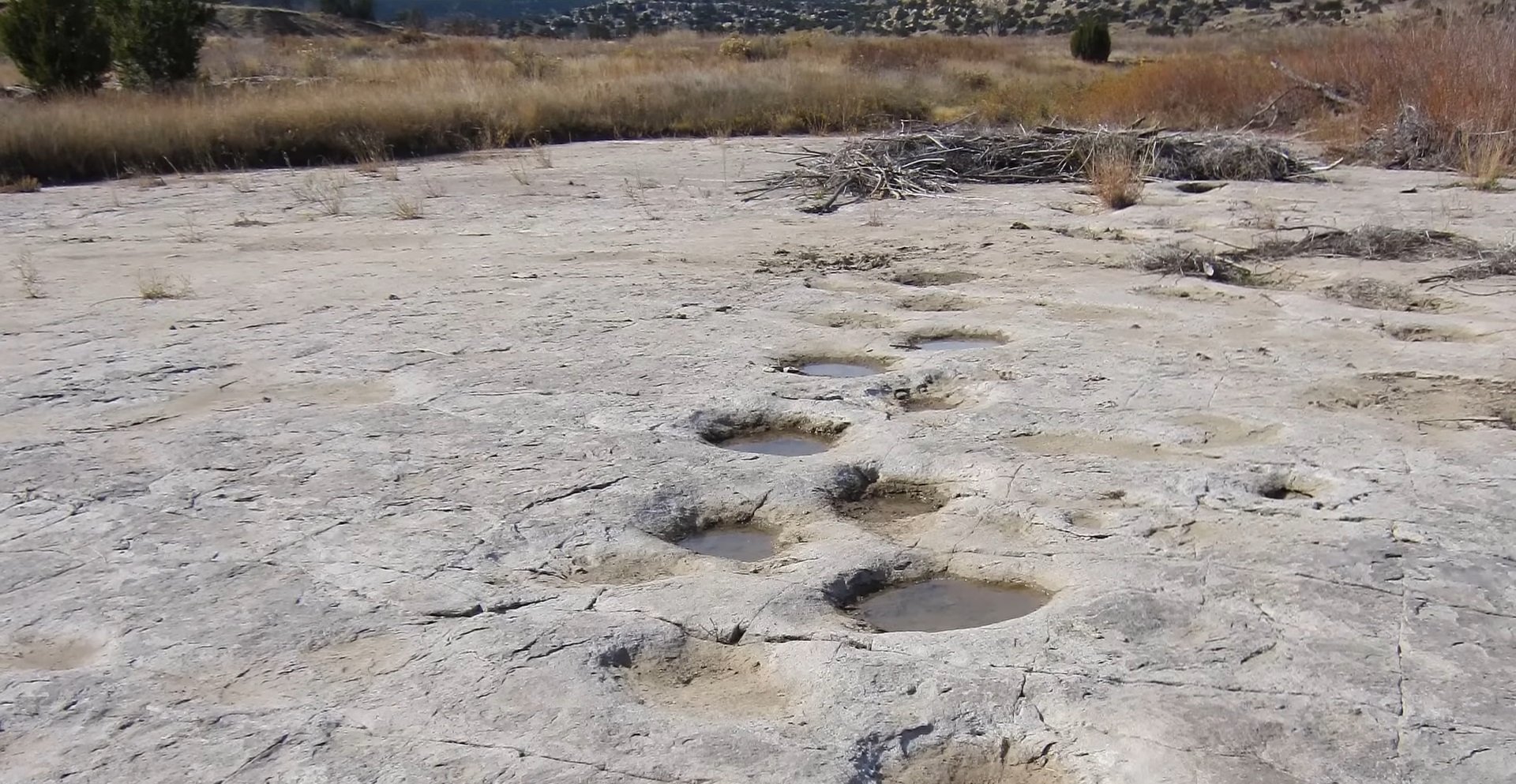 Urmele de pași ale dinozaurilor, o likeventă rară și fascinantă în paleontologie Descoperirea urmelor de pași ale dinozaurilor continuă să surprindă și să încânte cercetătorii din întreaga lume