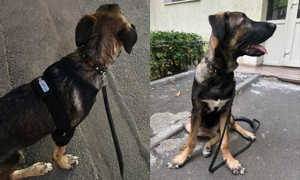 Untitled-design-37-1000x666.png - JurnalUrban