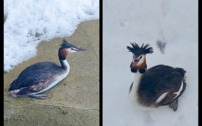 Untitled-design-41-1000x750.png - JurnalUrban