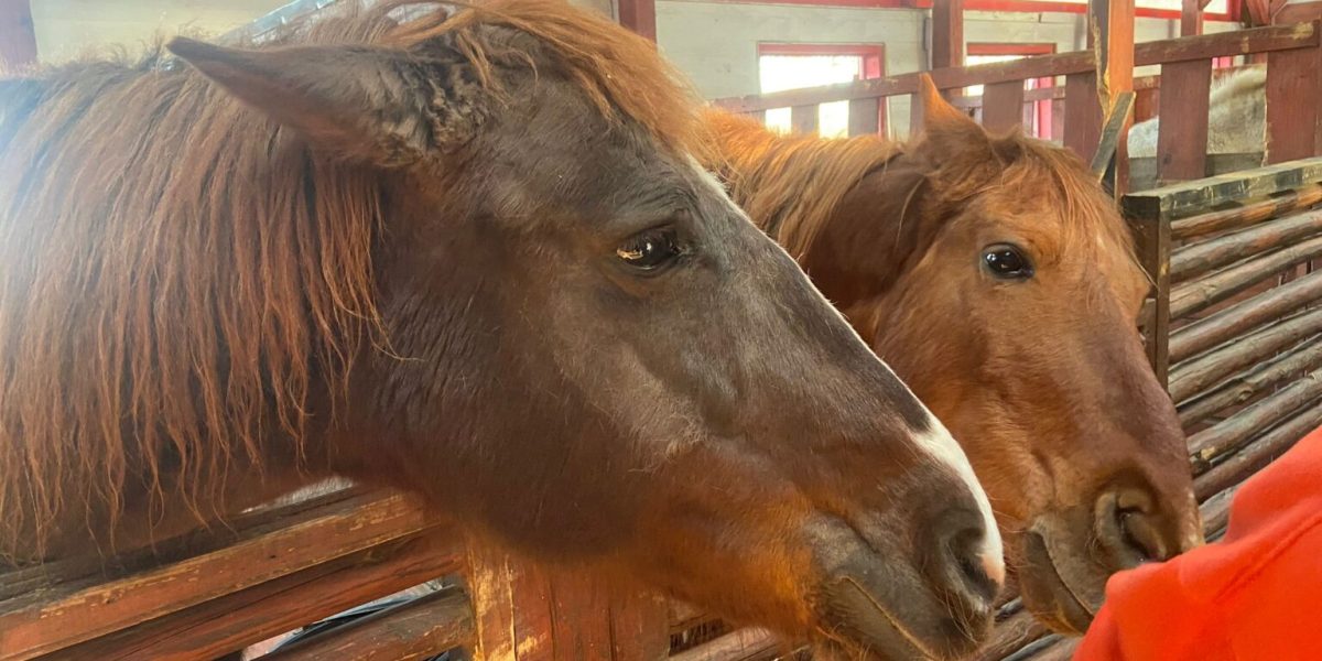 WhatsApp-Image-2024-03-29-at-1.21.34-PM-1536x1152-1.jpeg - JurnalUrban