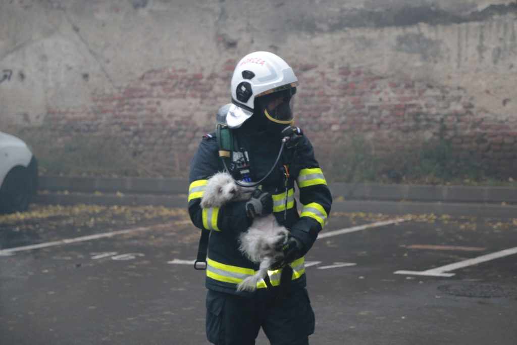 Un fost pompier din județul Bihor, acuzat de trafic de influență, a fost trimis în judecată într-un dosar care scoate la iveală modalități elaborate de înșelăciune și fraude în sectorul public