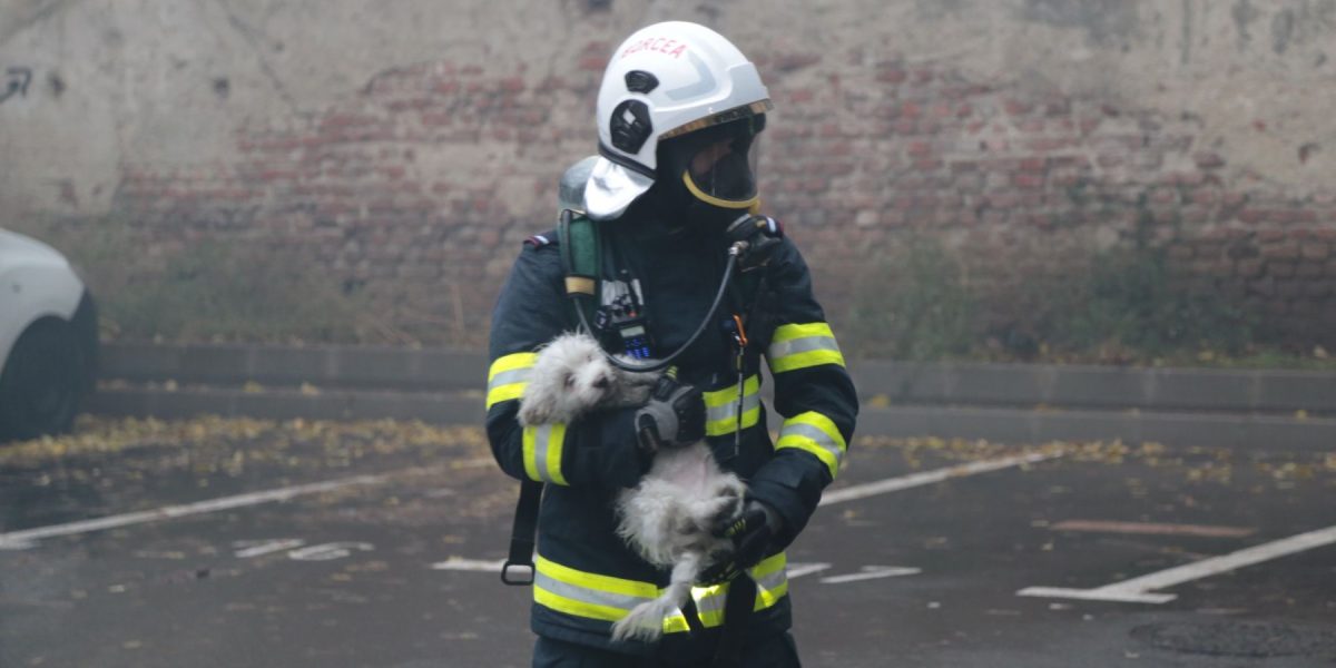 WhatsApp-Image-2024-12-07-at-14.50.32.jpeg - JurnalUrban