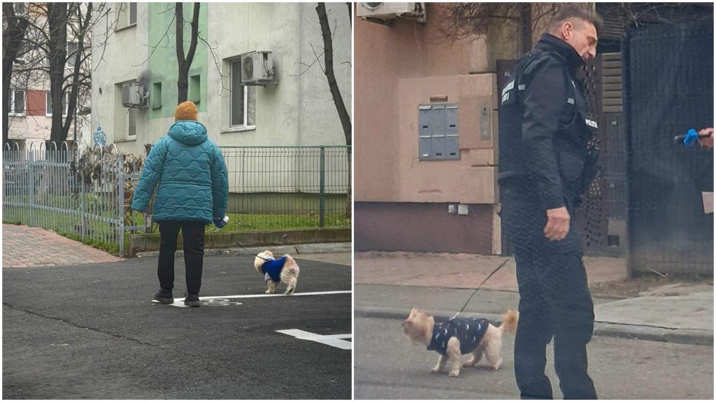 Primăria Sectorului 3 din București a intensificat recent controalele și sancțiunile pentru proprietarii de animale de companie care nu respectă legea privind curățenia și comportamentul în spațiile publice