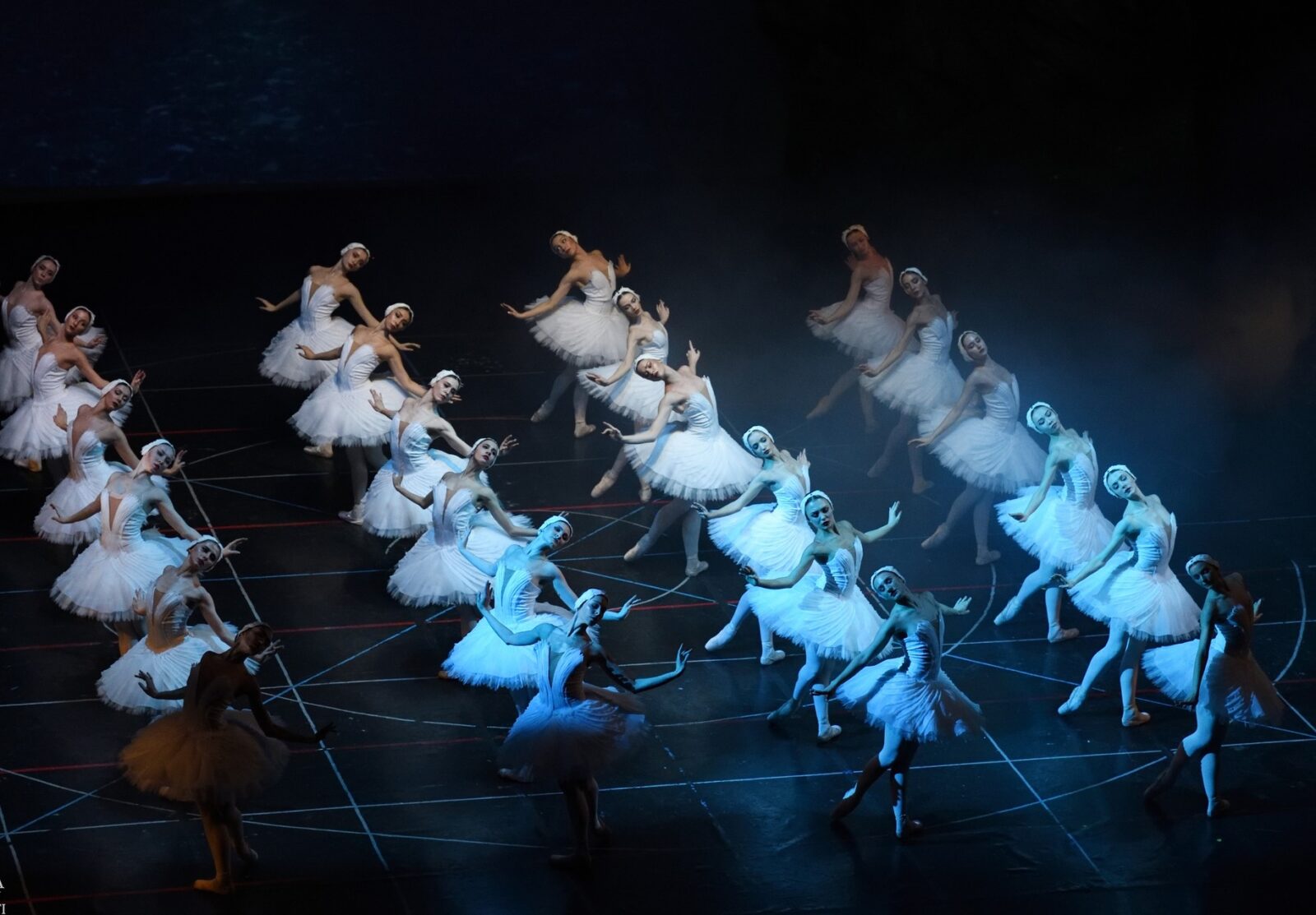 Spectacol inedit „Lacul Lebedelor”, în Parcul Herăstrău