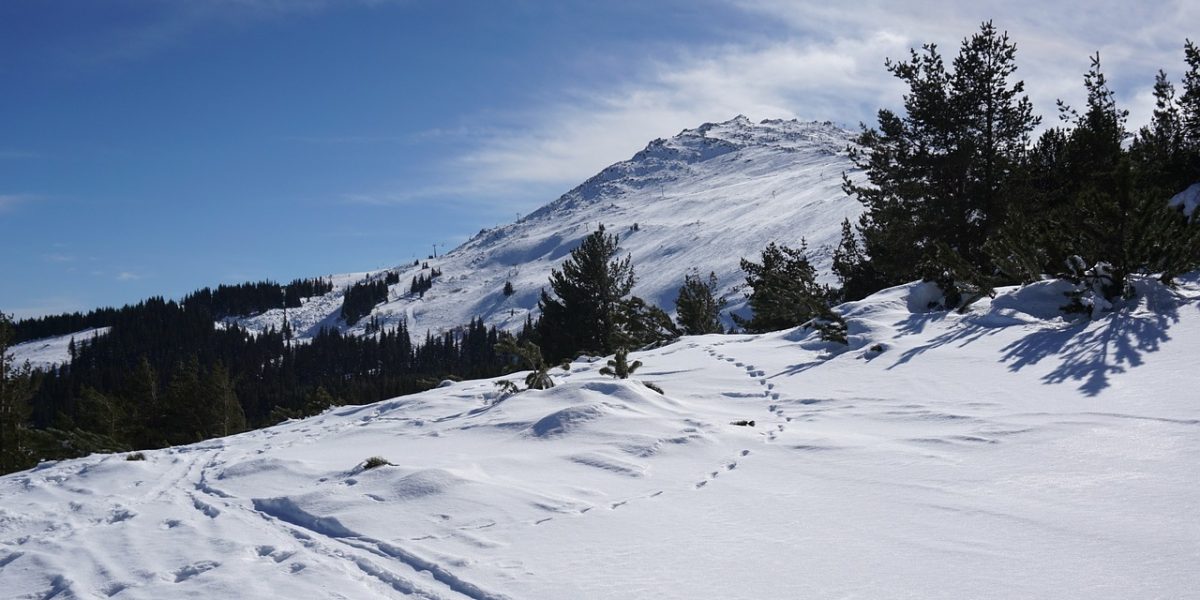 bulgaria-schi.jpg - JurnalUrban