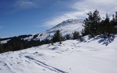 bulgaria-schi.jpg - JurnalUrban