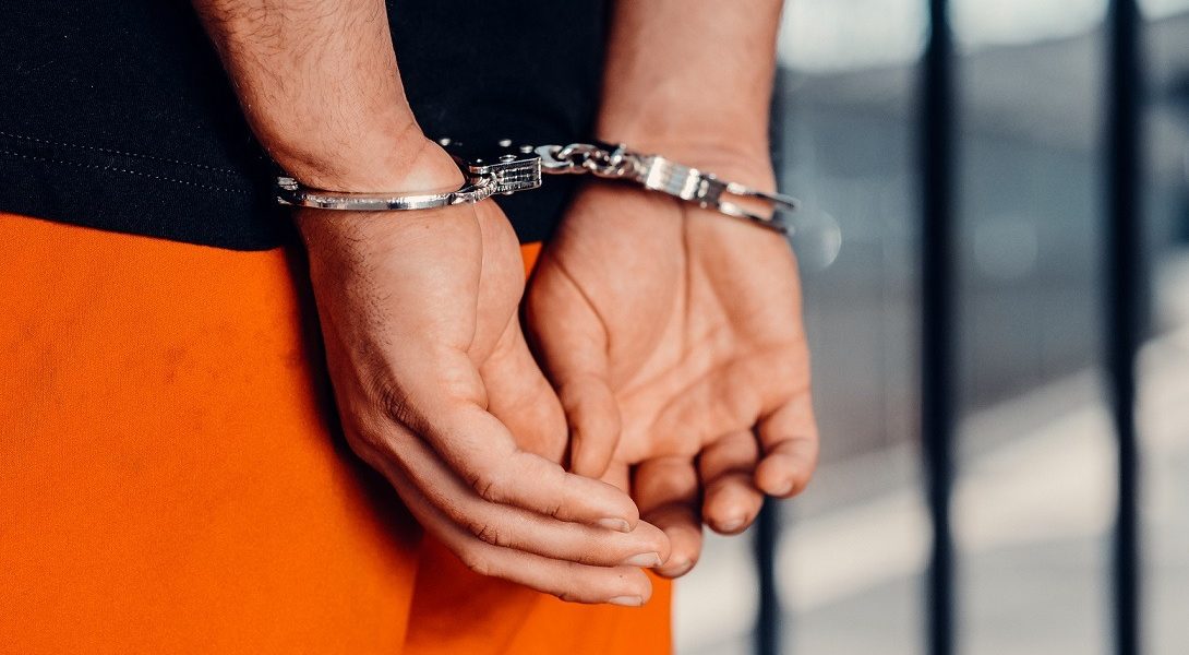 catuse.jpg - JurnalUrban