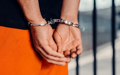 catuse.jpg - JurnalUrban