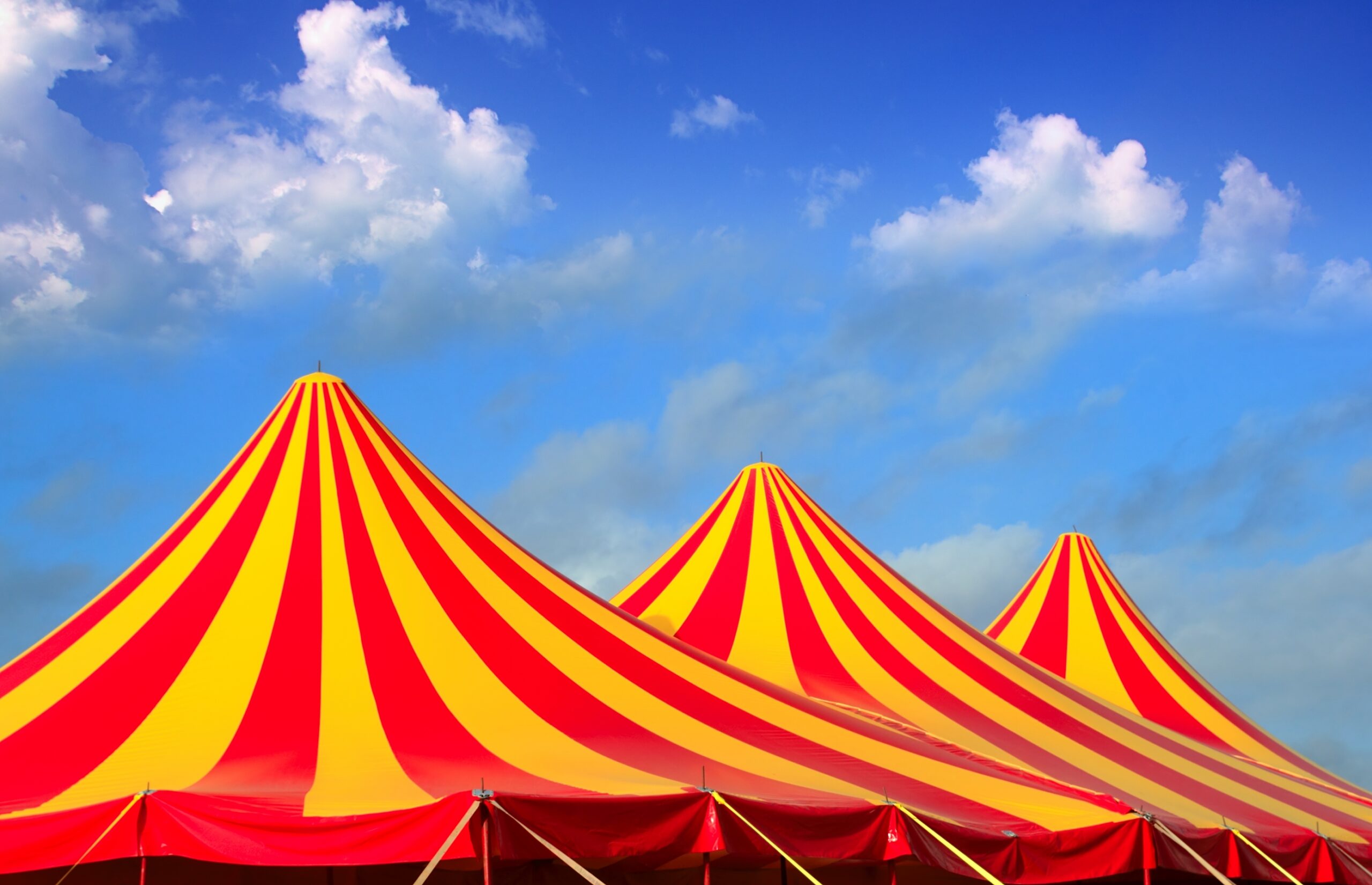 Accident grav la un spectacol de circ din Craiova: un acrobat spaniol a căzut de la patru metri în timpul unei reprezentații Un incident neașteptat a șocat spectatori și artiști deopotrivă sâmbătă seara în centrul orașului Craiova, în timpul unui spectacol de circ desfășurat pe Calea Severinului