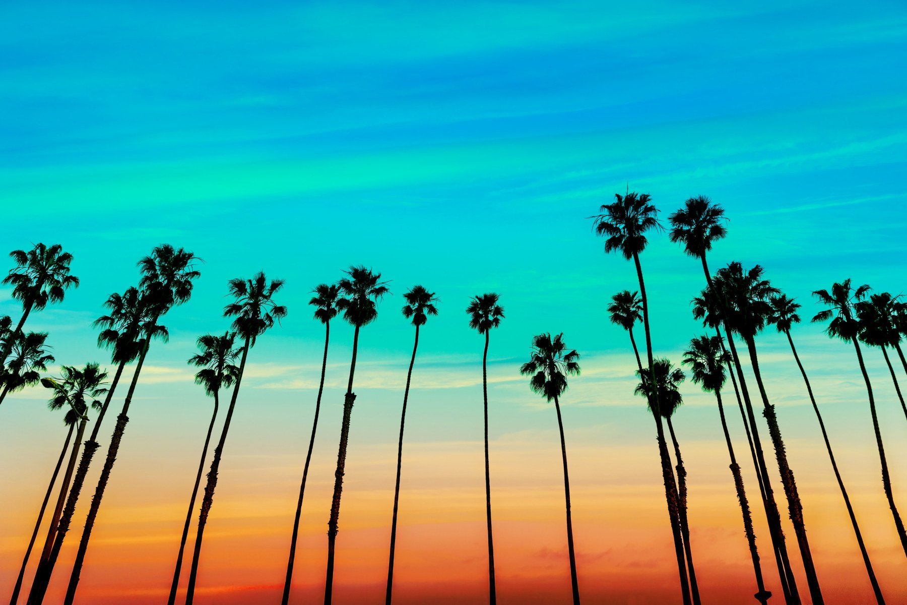 Rezidenți ai unui complex nudist din California, Olive Dell Ranch, se confruntă cu o criză fără precedent după ce proprietarii locului ar fi întrerupt alimentarea cu electricitate, invocând refuzul unor locatari de a se îmbrăca în public