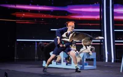 dresor-caini.jpg - JurnalUrban