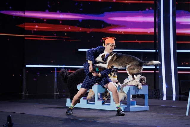 dresor-caini.jpg - JurnalUrban