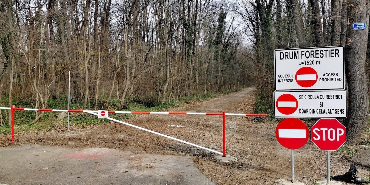 drum-forestier-auto-Padurea-Baneasa.jpg - JurnalUrban