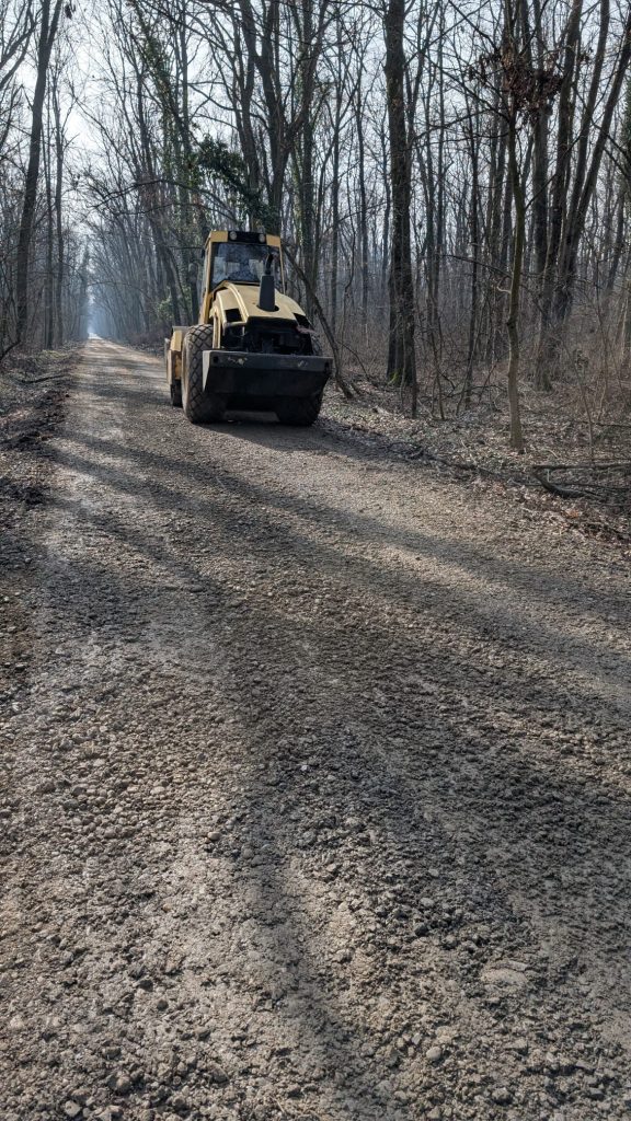 Controversă în jurul drumului din Pădurea Băneasa: lucrări de întreținere, acțiuni ale autorităților și susținerea comunității Greenfield Situația drumului care traversează Pădurea Băneasa, folosit de locuitorii cartierului Greenfield, a devenit subiect de dispută publică și administrativă, odată cu apariția utilajelor și informațiilor contradictorii referitoare la starea și legalitatea infrastructurii de acces