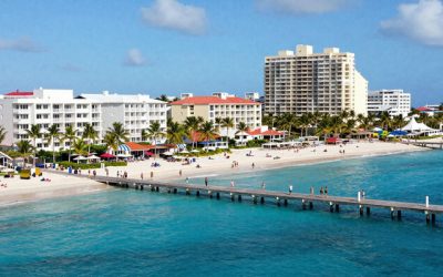 freepik__newsstyle-photo-of-palm.jpg - JurnalUrban