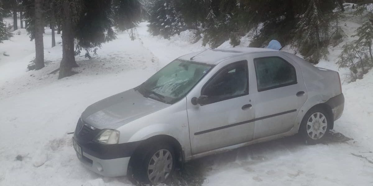 inzapeziti-in-alba.jpeg - JurnalUrban