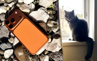 iphone-17-succes-apple-vanzari.jpg - JurnalUrban