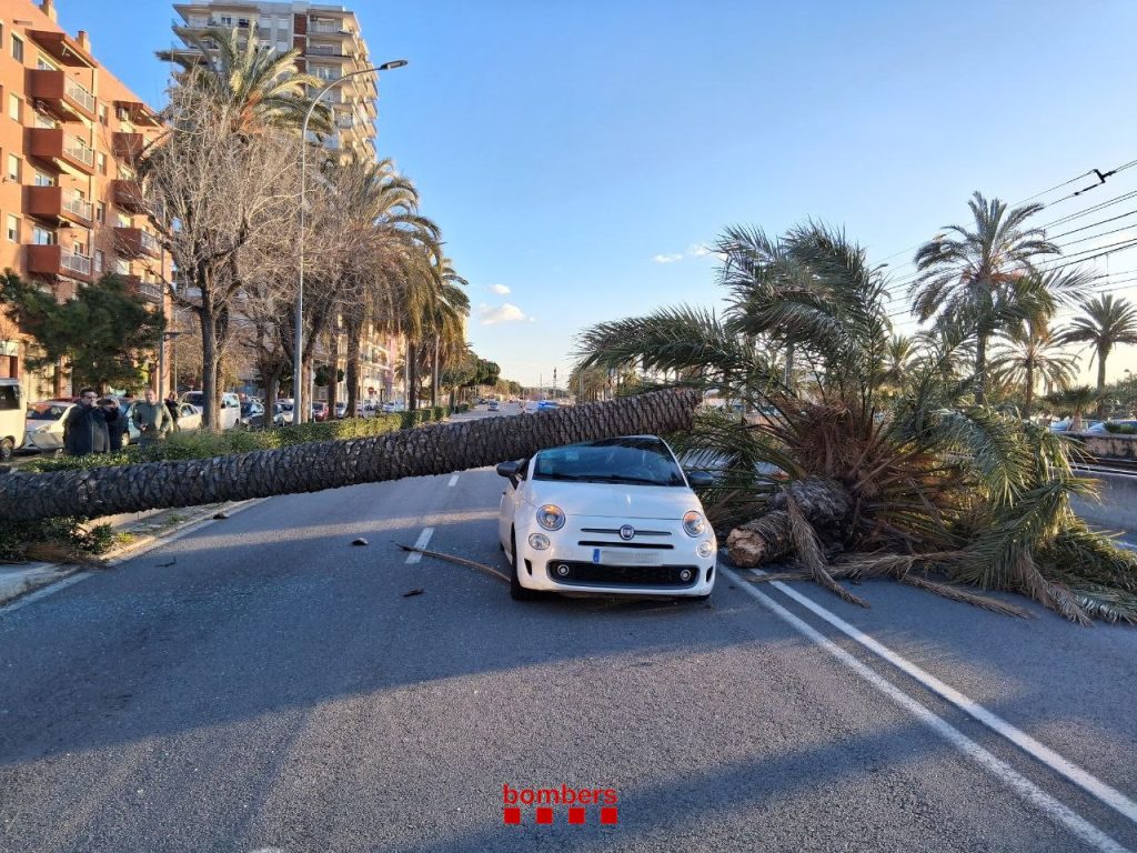 Vântul extrem de puternic a lovit Catalonia joi, ajungând până la viteza de 167 km/h, provocând haos pe drumurile principale și perturbări ale traficului feroviar, într-un moment în care regiunea se confruntă deja cu temperaturi neobișnuit de scăzute pentru această perioadă a anului