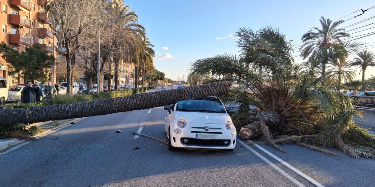 masini-vant-puternic-catalonia.jpg - JurnalUrban