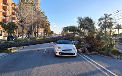 masini-vant-puternic-catalonia.jpg - JurnalUrban