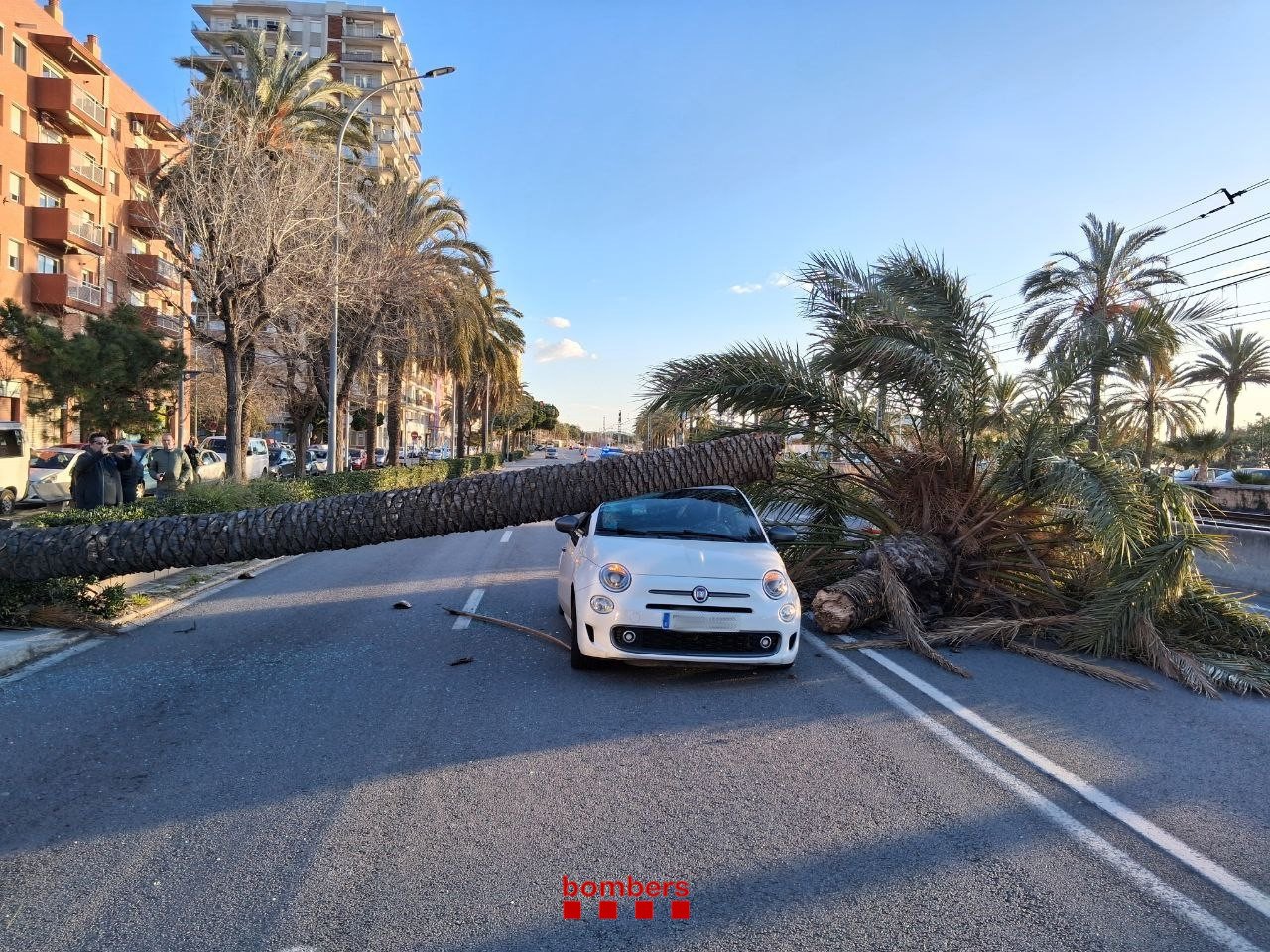 Vântul extrem de puternic a lovit Catalonia joi, ajungând până la viteza de 167 km/h, provocând haos pe drumurile principale și perturbări ale traficului feroviar, într-un moment în care regiunea se confruntă deja cu temperaturi neobișnuit de scăzute pentru această perioadă a anului