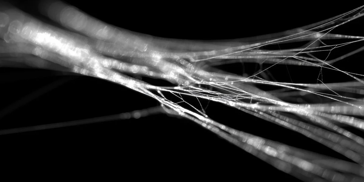 matase-paianjen.png - JurnalUrban