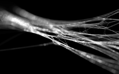 matase-paianjen.png - JurnalUrban