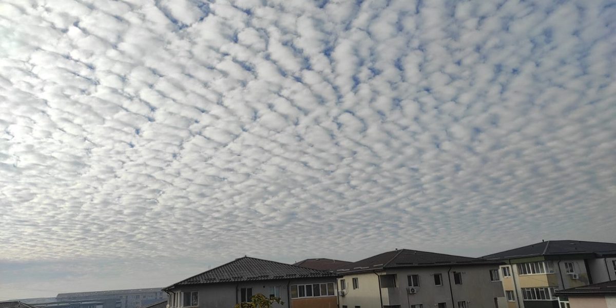 nori.jpeg - JurnalUrban