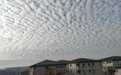 nori.jpeg - JurnalUrban