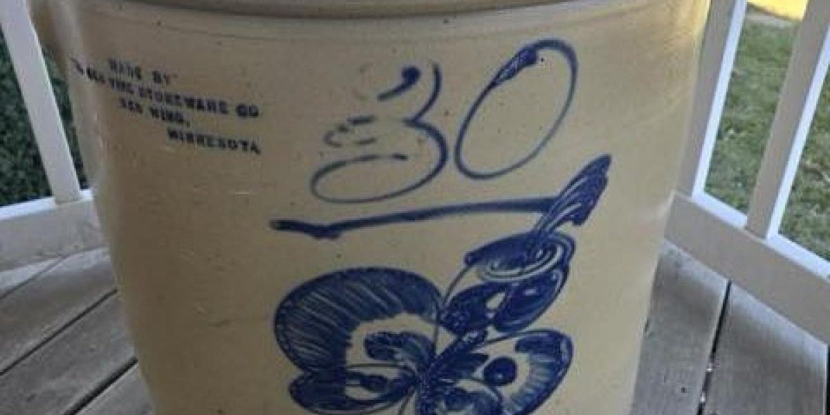 o-femeie-planuia-sa-vanda-vasul-vechi-abandonat-in-curtea-casei-cu-20-de-dolari-licitatia-a-explodat.webp - JurnalUrban