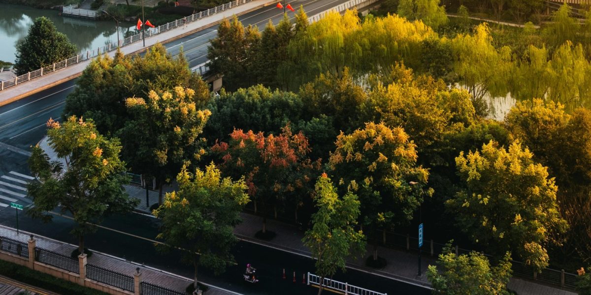 pexels-chuanyu2015-209658-30406834.jpg - JurnalUrban