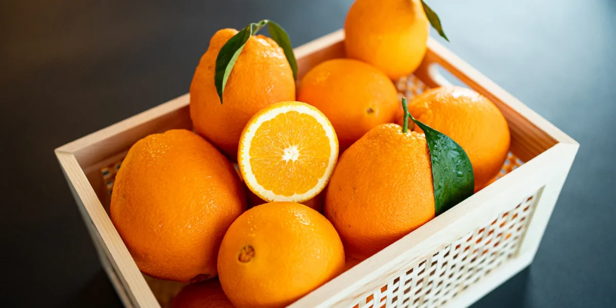 portocale-789528.webp.webp - JurnalUrban