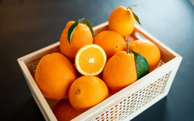 portocale-789528.webp.webp - JurnalUrban