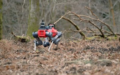 robotii-caini-care-scaneaza-padurile-defrisari.jpg - JurnalUrban