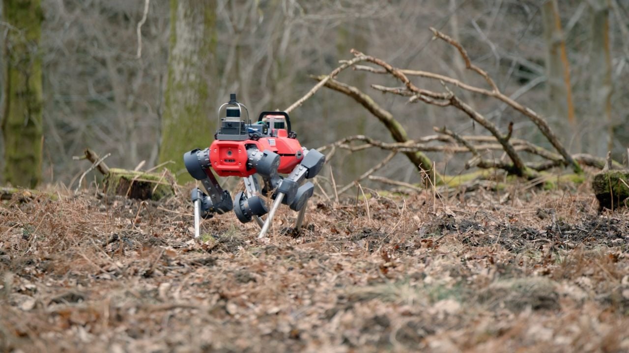 În peisajul tot mai complex al conservării și gestionării resurselor naturale, o inovație tehnologică început să-și facă simțită prezența în pădurile din Europa, inclusiv în Marea Britanie: roboții patrupede, asemănători unor câini mecanici, care revoluționează modul în care cercetătorii și autoritățile monitorizează ecosistemele forestiere
